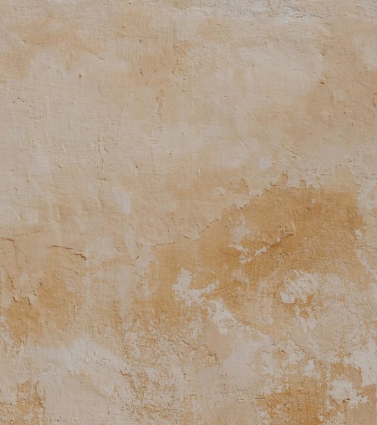 pawel-czerwinski-fVpECuFVaA4-unsplash